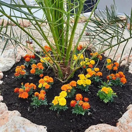 Atena Zaton 2 Apartament