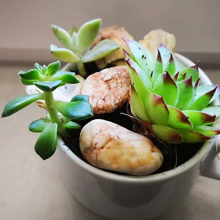 Atena Zaton 2 Apartament