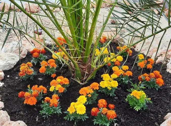 Atena Zaton 2 Διαμέρισμα