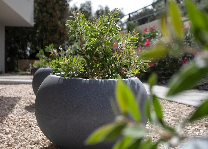 公寓 Atena Zaton 2