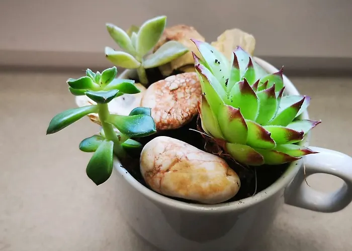 Atena Zaton 2 Apartment