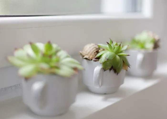 Διαμέρισμα Atena Zaton 2 Nin